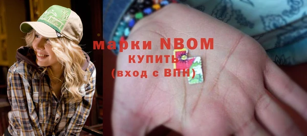 кокс Богородицк