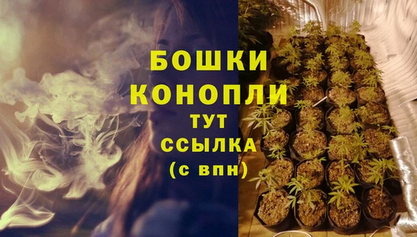кокс Богородицк