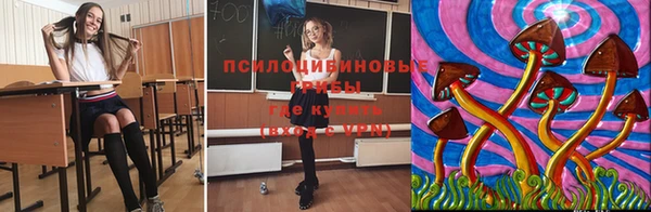 ECSTASY Белокуриха